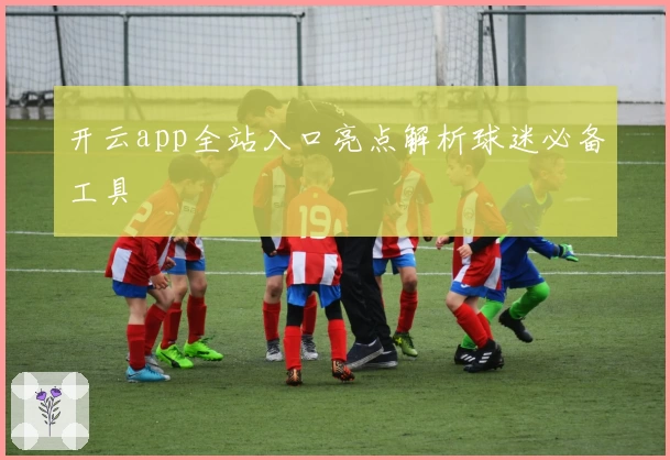 开云app全站入口亮点解析球迷必备工具