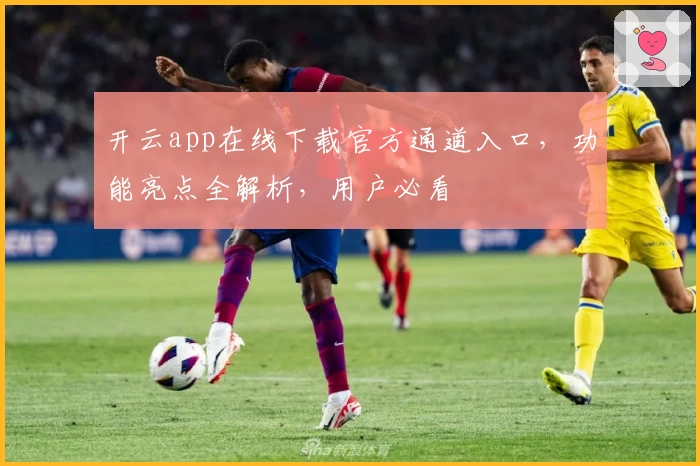 开云app在线下载官方通道入口，功能亮点全解析，用户必看