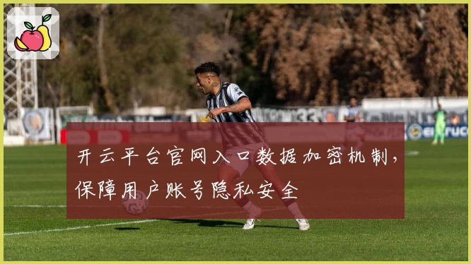 开云平台官网入口数据加密机制，保障用户账号隐私安全